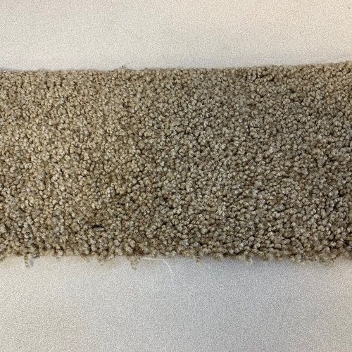 carpet swatch