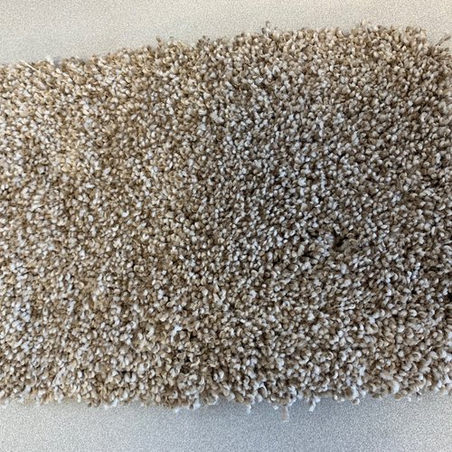 carpet swatch