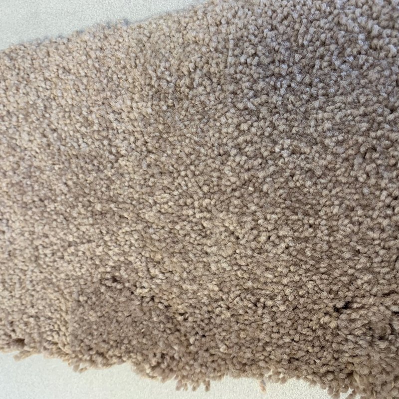 carpet swatch