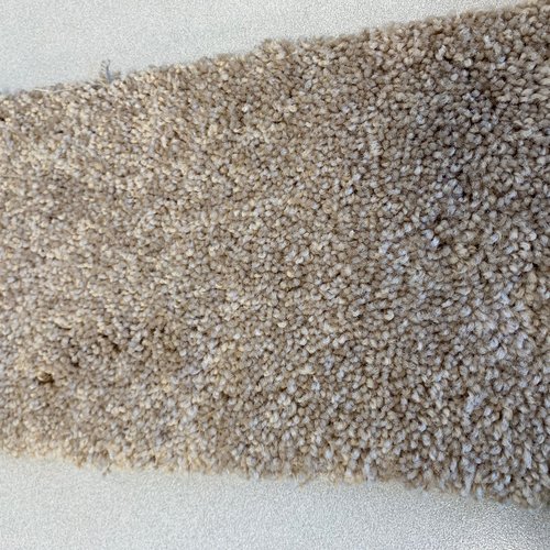 carpet swatch