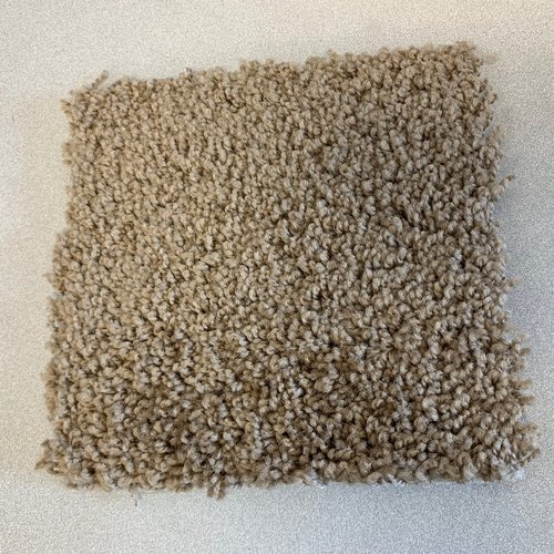 carpet swatch