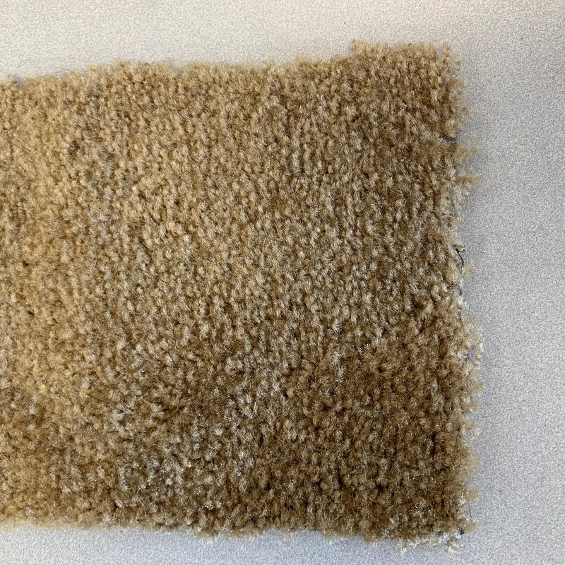 carpet swatch